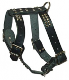 Leather Brothers - 1-Ply Latigo Studded Harness - Small - Black