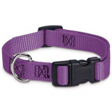 Guardian Gear - Adj Collar Brites - 18-26x1Inch - Purple
