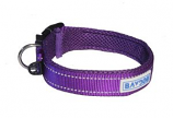 BayDog - Tampa Collar- Purple - Medium