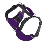BayDog - Chesapeake Harness- Purple - X Large
